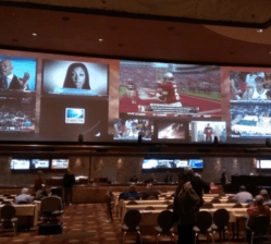 mirage sportsbook